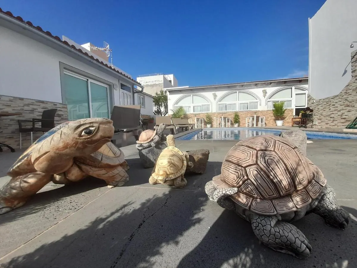 Apartment Tenerife Little Village S San Isidro