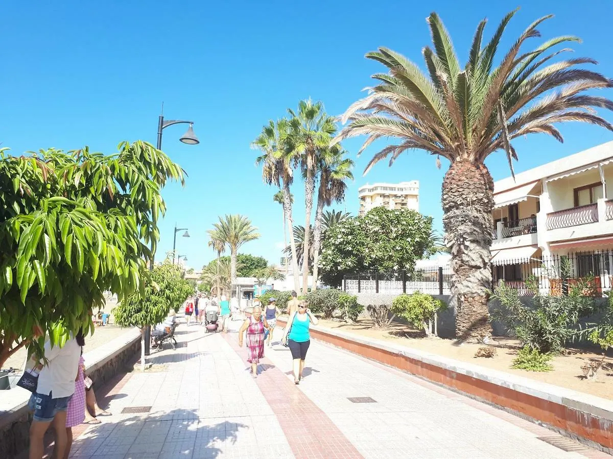 Tenerife Little Village S San Isidro  Apartment